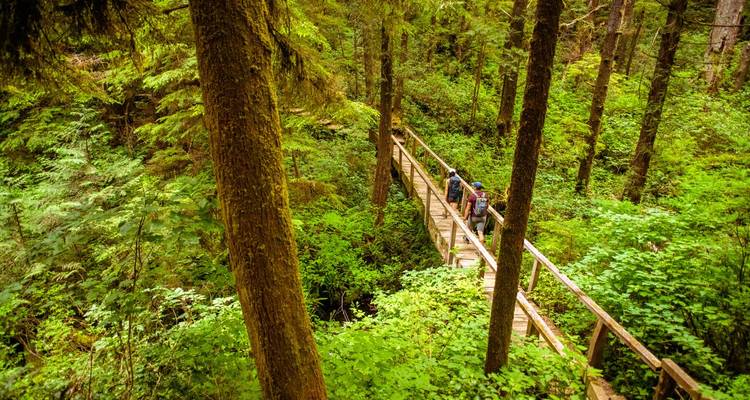 Wandelaars steken een smalle houten brug over diep in een weelderig groen regenwoud van de Pacific Northwest.