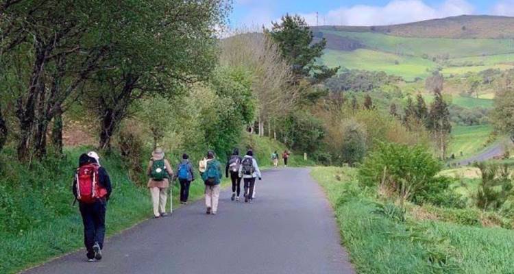 Grupo de excursionistas con mochilas caminando por un camino rural enmarcado por árboles y colinas verdes onduladas