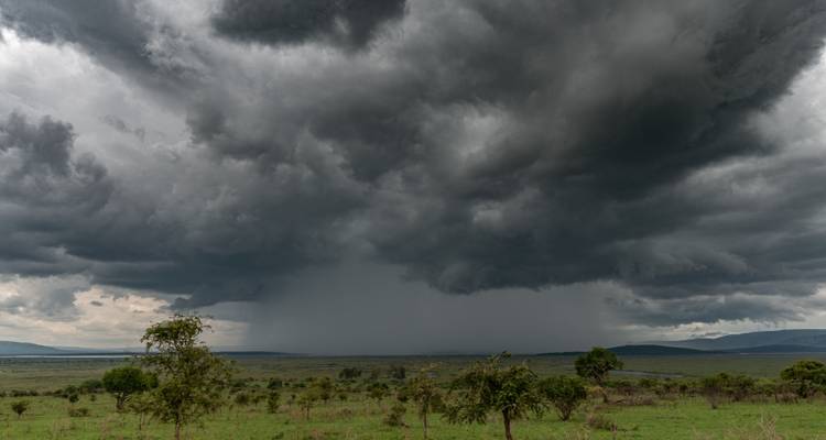 Nuages d'orage dramatiques déversant une pluie battante sur un vaste paysage de savane.