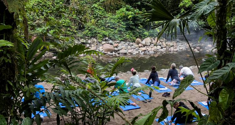 Séance de yoga de groupe sur des tapis bleus au bord d'un ruisseau de jungle entouré d'un feuillage luxuriant