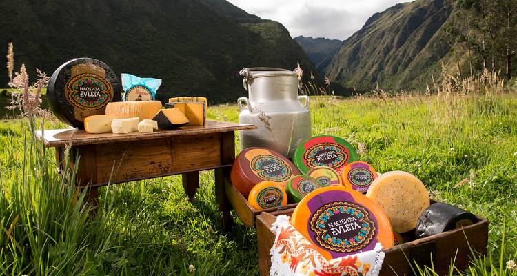 Rustikale Käsepräsentation im Freien auf einem Holztisch in einem grünen Bergtal.