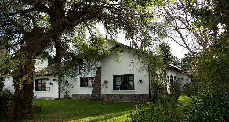 Charmante weiß getünchte Hacienda eingebettet zwischen alten Bäumen und Gärten.