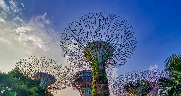 Ikonische Supertree-Strukturen erheben sich über üppige Gärten vor einem farbenfrohen Abendhimmel.