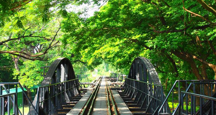 Groene-tunnel spoorwegbrug omgeven door weelderige bosvegetatie die een natuurlijke boog vormt boven de rails