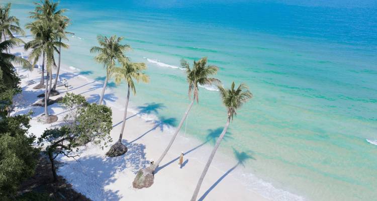 Plage tropicale de sable blanc avec des palmiers penchés projetant des ombres sur une eau cristalline turquoise sur l'île de Phu Quoc