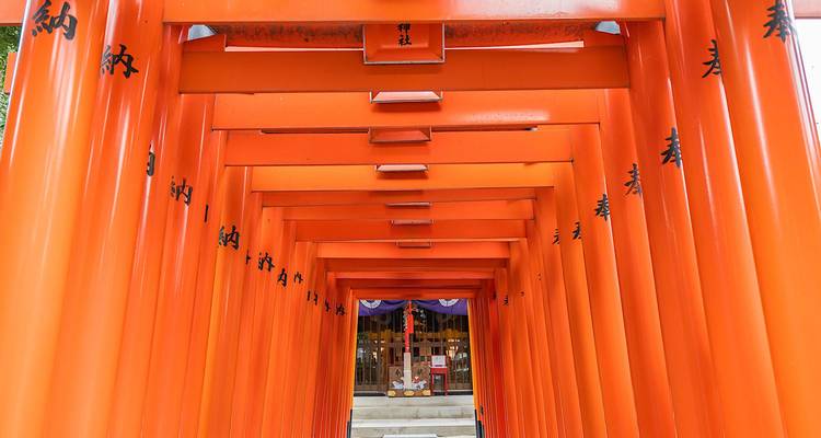 Vue en perspective à travers plusieurs portes torii orange vif vers l'entrée du sanctuaire.