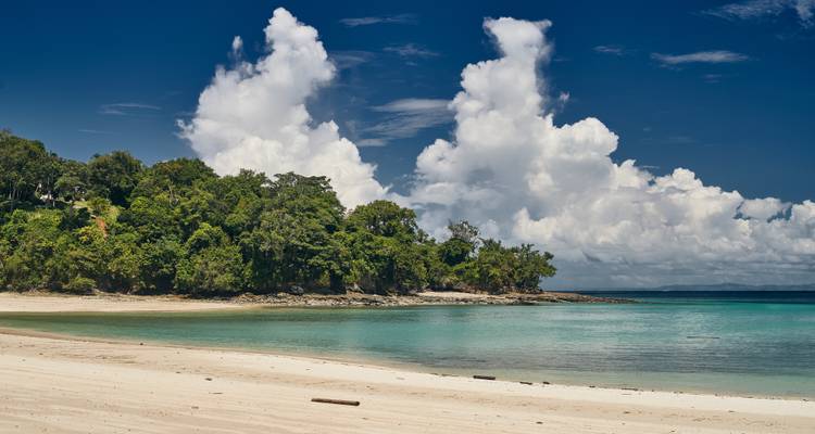 Unberührter Sandstrand mit türkisblauem Wasser und üppigem grünem Wald unter einem tiefblauen tropischen Himmel.