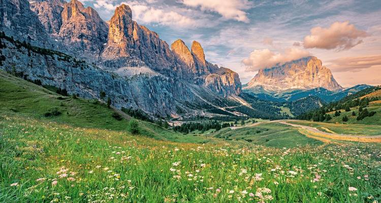 Alpenweide bedekt met wilde bloemen die leidt naar dramatische zonbeschenen toppen van de Dolomieten onder een kleurrijke hemel.