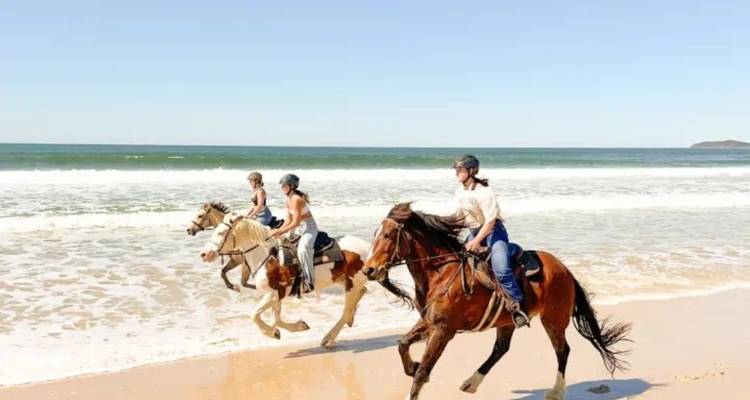 Drei Reiter galoppieren mit ihren Pferden entlang eines sonnigen Sandstrandes neben türkisfarbenen Wellen.