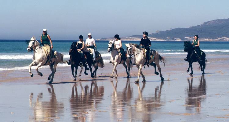 Eine Gruppe von Reitern lässt ihre Pferde auf einem spiegelnden nassen Strand mit entfernten Hügeln im Hintergrund traben.