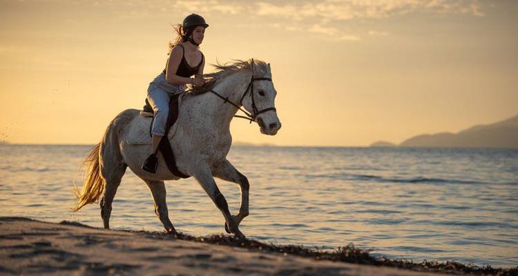 Eine Frau galoppiert auf einem weißen Pferd entlang der Küstenlinie bei goldenem Sonnenuntergang, während Wellen in der Nähe plätschern.