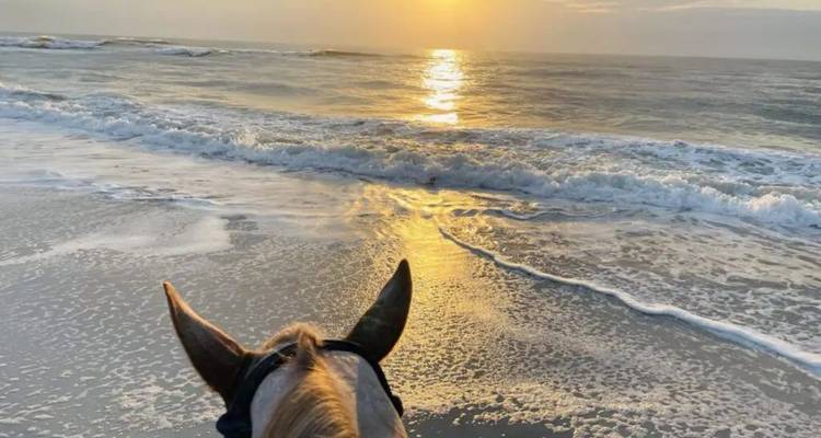 Blick von einem Pferd aus in Richtung eines lebendigen Sonnenuntergangs über sanfter Brandung an einem Sandstrand