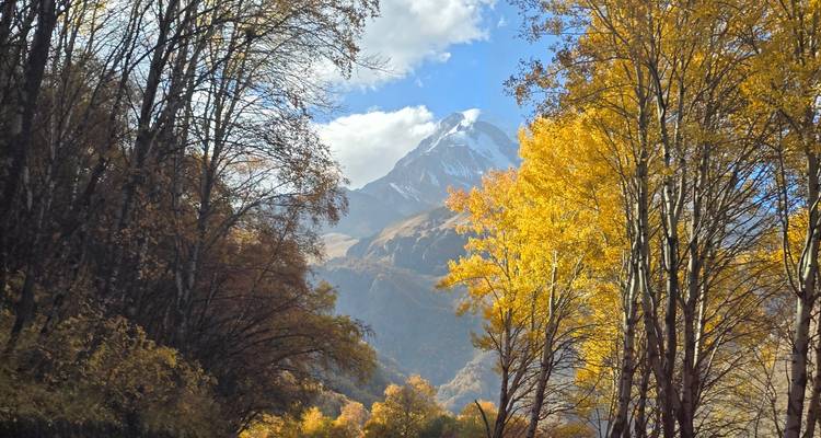 De met sneeuw bedekte berg Kazbek rijst op achter gouden herfstbomen onder een heldere hemel.