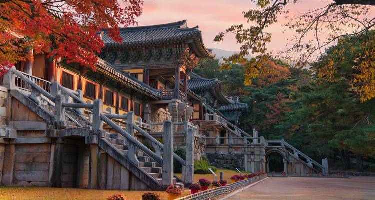 De Bulguksa-tempel staat te midden van herfstbladeren in de schemering met warme pastelkleurige luchten in Gyeongju.