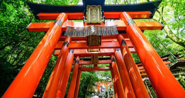 Levendige rode torii-poorten van Fushimi Inari vormen een tunnel door weelderig groen bos.
