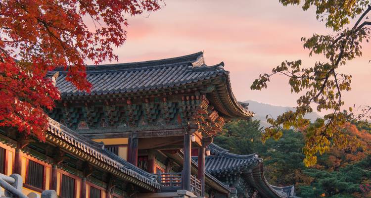 Detail van traditionele Koreaanse tempeldaken omlijst door rode herfstbladeren bij schemering.