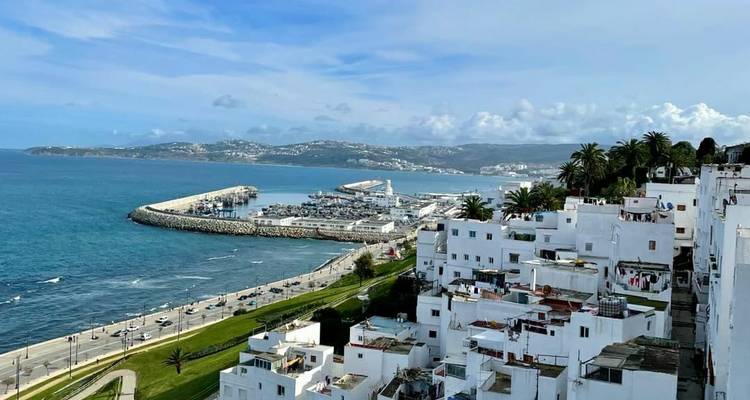 Paysage urbain côtier de bâtiments blanchis à la chaux situés sur des falaises au-dessus d'un port sinueux et d'une mer d'un bleu profond.