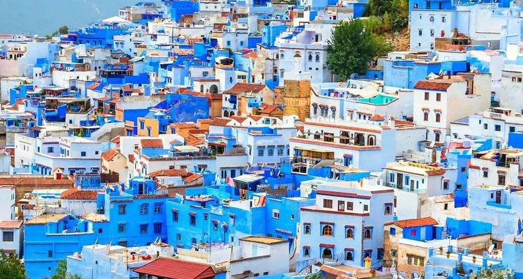 Panorama saisissant des maisons bleu peint à flanc de colline de Chefchaouen parsemées sous un décor de montagnes vertes.
