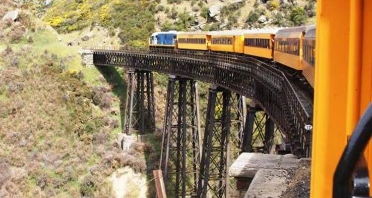 Clásico de Otago Rail Trail - Adventure South 10