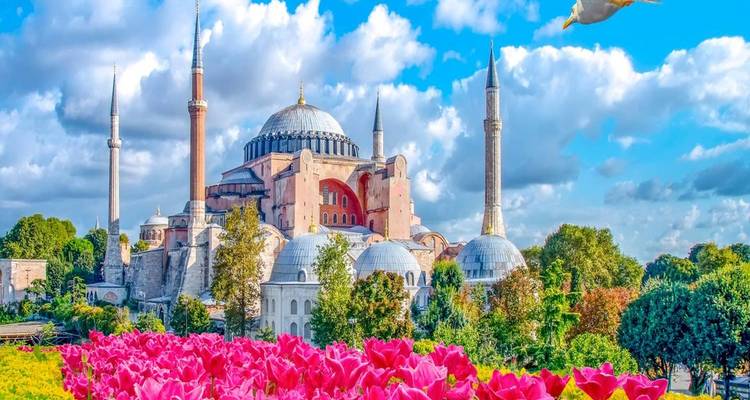 Ikonische Hagia Sophia Moschee umrahmt von blühenden rosa Tulpen unter einem strahlend blauen Himmel mit flauschigen Wolken