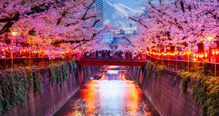 Un canal bordé de lanternes lumineuses et de cerisiers en fleurs mène à un pont avec des foules et une montagne enneigée au-delà.