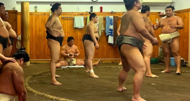 Luchadores de sumo entrenando dentro de un ring de dojo de madera con otros descansando en los bordes.