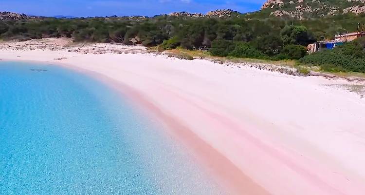 Unberührter rosa-getönter Sandstrand mit kristallklarem türkisfarbenem Wasser und niedrigen Sträuchern