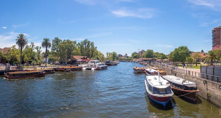 Escena ribereña con barcos de excursión amarrados y orillas frondosas bajo un cielo azul despejado