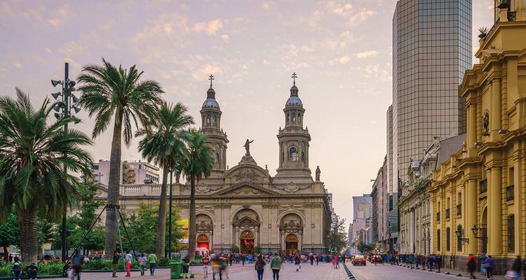 Catedral histórica y plaza bordeada de palmeras llena de peatones bajo la suave luz del atardecer.