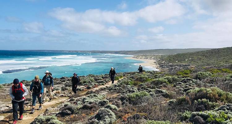 Un petit groupe de randonneurs suit un sentier côtier le long de vagues turquoise et d'une végétation basse.