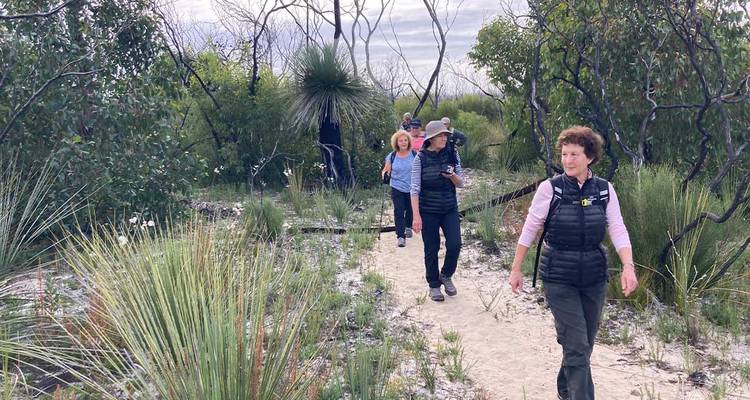 Des marcheurs naviguent sur un sentier sablonneux à travers la végétation australienne indigène sous un ciel couvert.