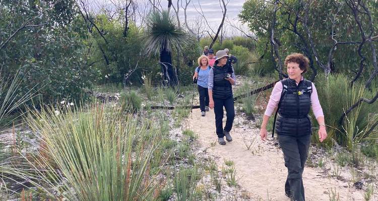 Kleine geführte Gruppe, die entlang eines sandigen Buschpfads wandelt, der von Gräsern und Eukalyptusbäumen gesäumt ist.