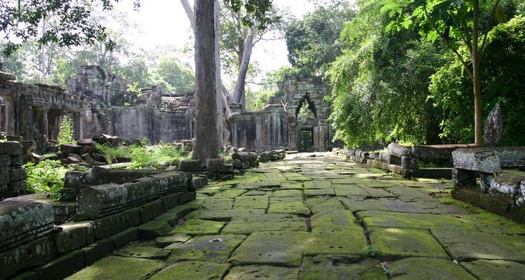 Jungle-shaded stone pathway of an overgrown temple complex carpeted in vivid green moss.