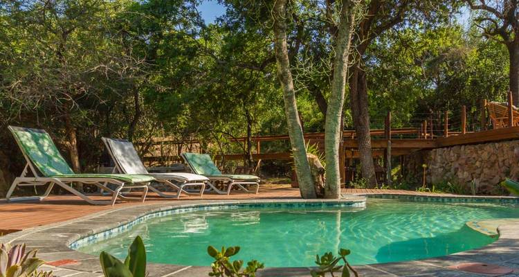 Pequeña piscina rodeada de tumbonas entre frondosos árboles de la sabana en un lodge de safari.