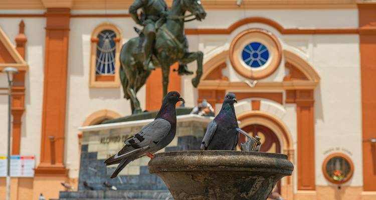 Deux pigeons sur une fontaine devant une église coloniale orange et crème avec une statue équestre