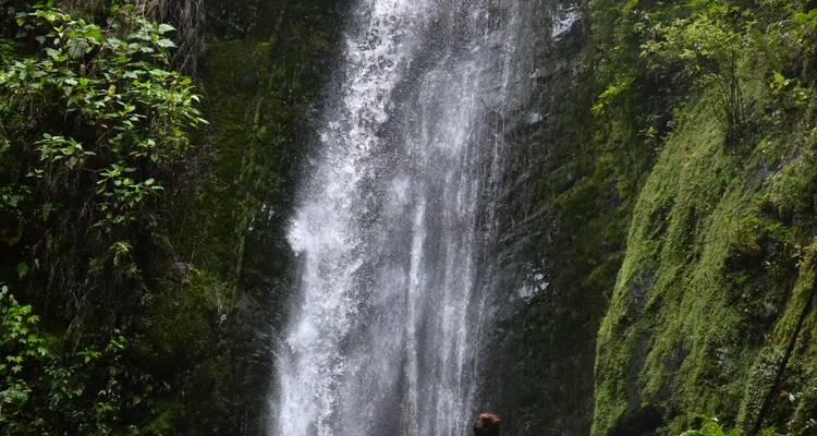 Grande cascade de jungle dégringolant sur des falaises moussues avec un visiteur solitaire à la base