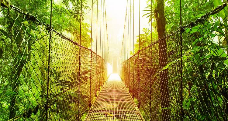 Metal suspension bridge stretching through sun-lit rainforest with lush greenery on both sides.