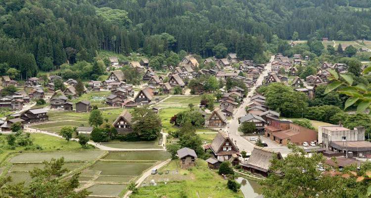 Vue panoramique sur les maisons aux toits de chaume de Shirakawa-go nichées parmi les rizières verdoyantes et les forêts de pins.