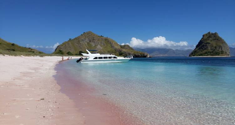 Un bateau blanc élégant repose à côté du sable teinté de rose célèbre de Komodo et de l'eau turquoise.