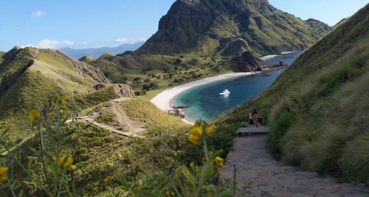 Des fleurs sauvages encadrent un point de vue élevé sur une baie de sable blanc et des crêtes vertes qui s'élèvent.