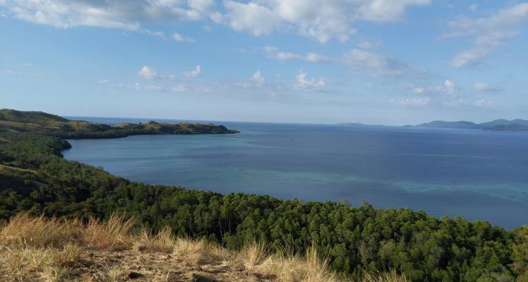 Une vaste anse côtière est bordée par une dense forêt de mangroves vertes et la mer ouverte.