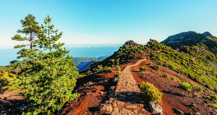 Steinberg-Wanderweg auf Madeira führt zum blauen Meereshorizont mit Pinien und roter Vulkanerde