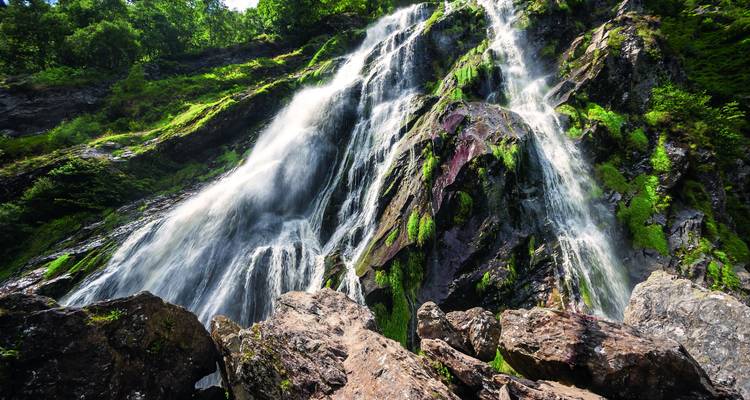 Ein moosbedeckter Wasserfall stürzt über zerklüftete Felsen in einer üppig grünen Waldlandschaft hinab.