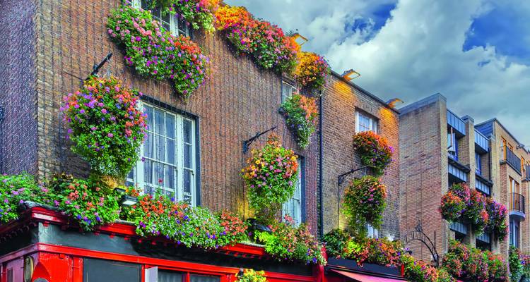 Ziegelfassade mit leuchtenden hängenden Blumenkörben unter einem stimmungsvollen Himmel.