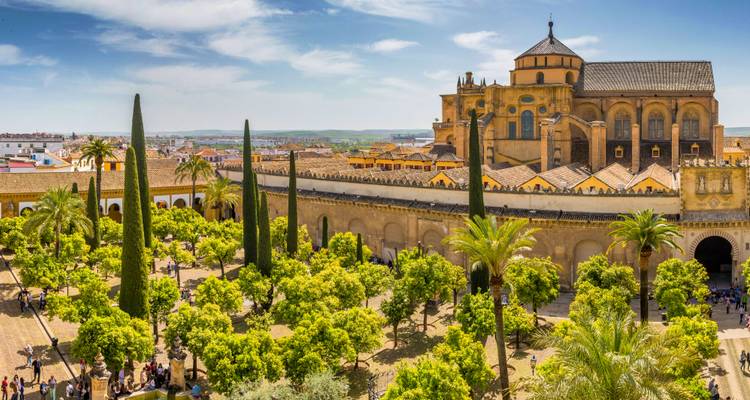 Panoramisch uitzicht over de Patio de los Naranjos en de Moskee-Kathedraal van Córdoba met hoge cipressen onder een heldere blauwe hemel.