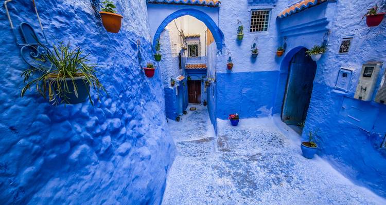 Helderblauwe smalle steeg met bogen, planten in potten en getextureerde muren van Chefchaouen