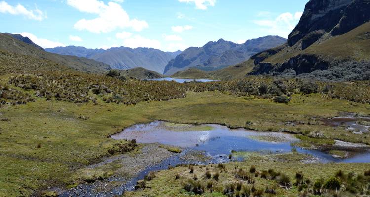Zone humide d'altitude avec de petites lagunes et des chaînes andines accidentées dans le parc national d'El Cajas.