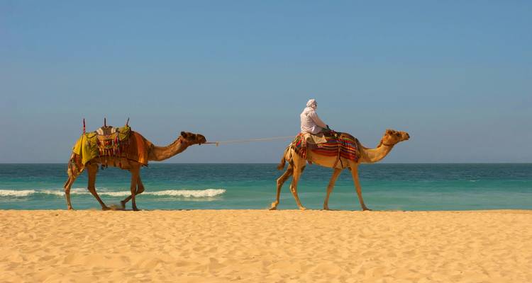 Camel handler leads two camels along a wide sandy beach beside calm turquoise seas.
