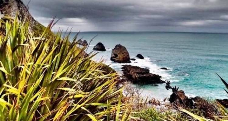 Grava de Fiordland y la Costa Sur - Adventure South 6