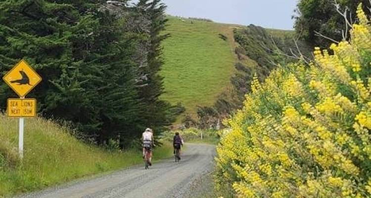 Grava de Fiordland y la Costa Sur - Adventure South 7